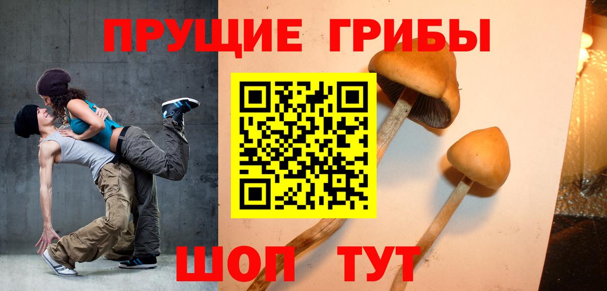 Псилоцибиновые грибы мухоморы Каменск-Уральский